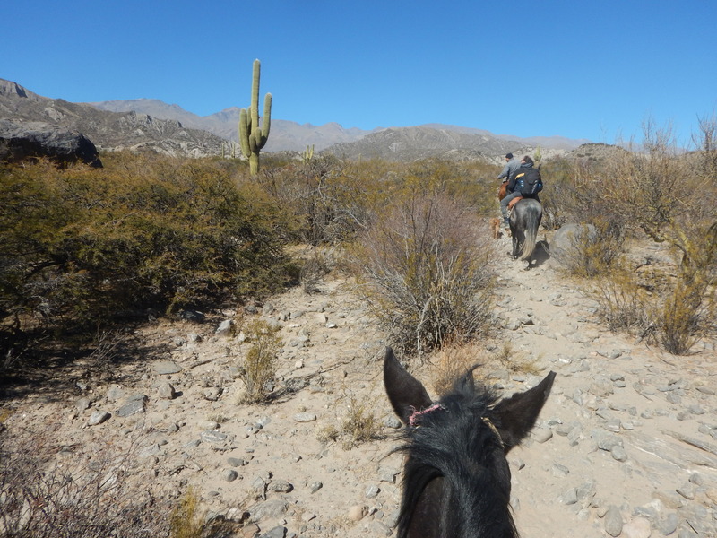 Cabalgando hacia la confluencia - Riding to the confluence