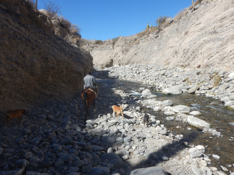 Transitando el río Ampajango - Circulating by the Ampajango river