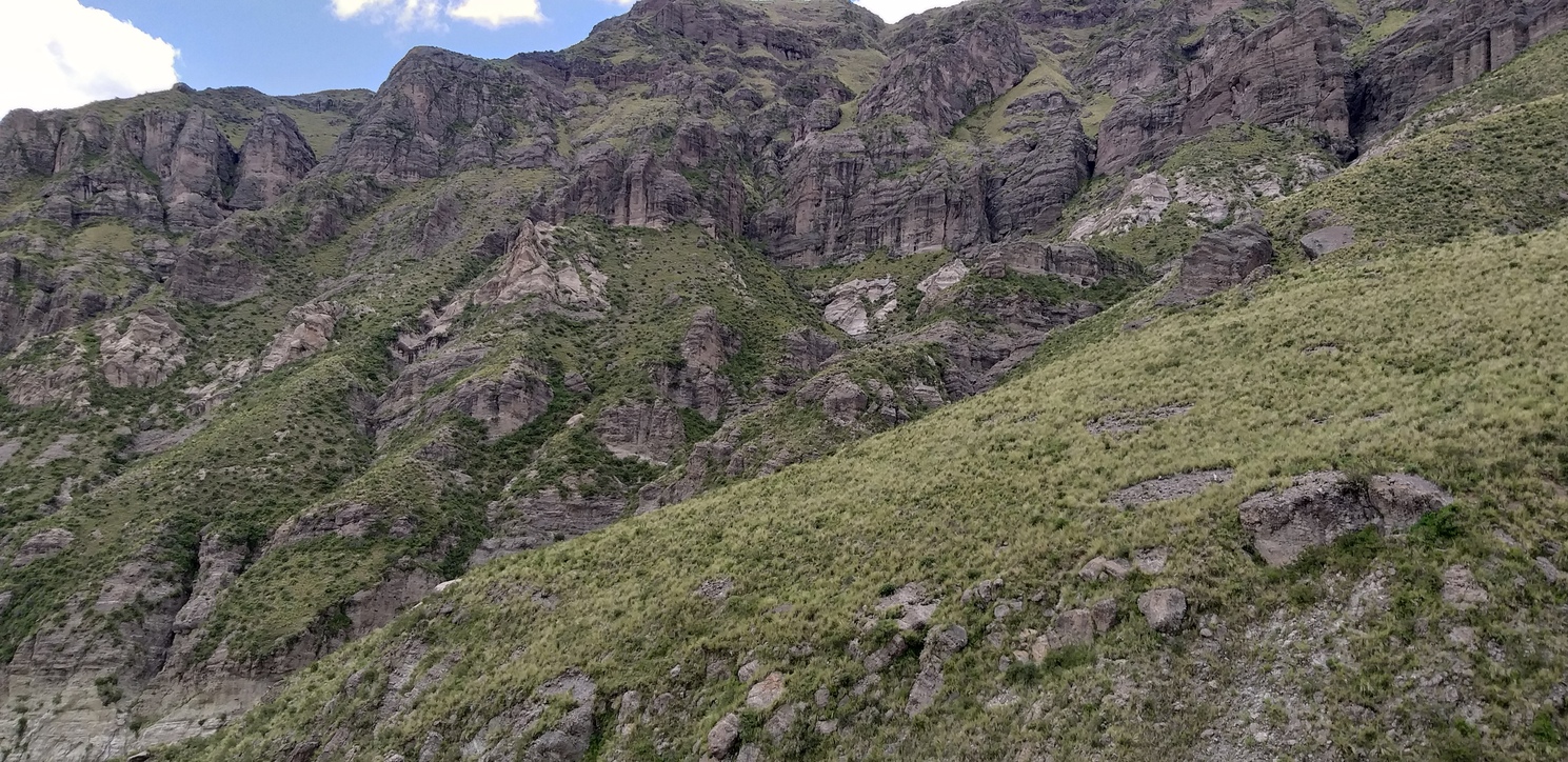 Vista al norte. North view towards confluence