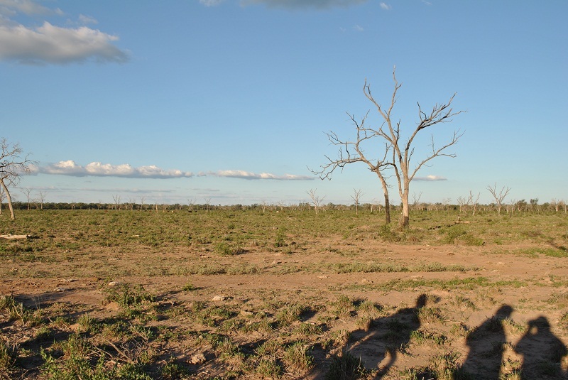 vista este / east view