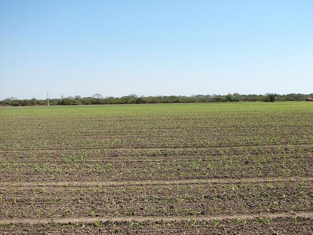 Vista al Oeste