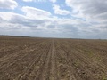 #2: Norte. North