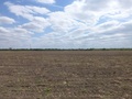 #3: Oeste. West