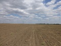 #4: Sur. South