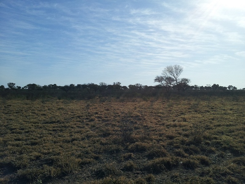 Vista hacia el Oeste - View to the West