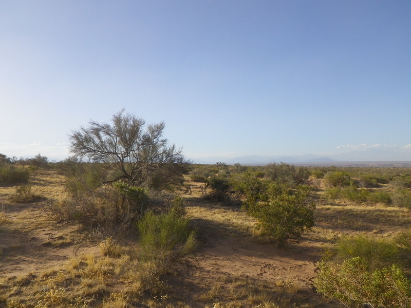 Vista hacia el Norte - View to the North