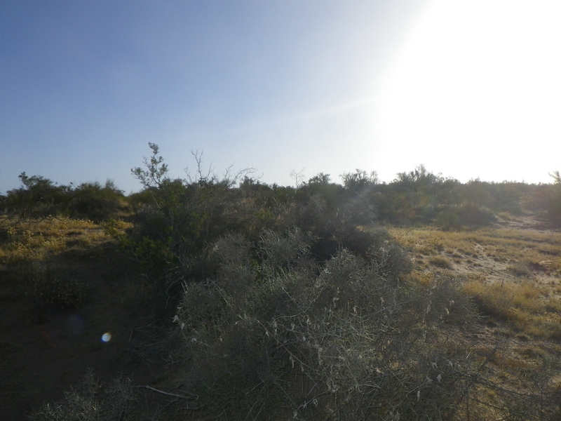 Vista hacia el Oeste - View to the West