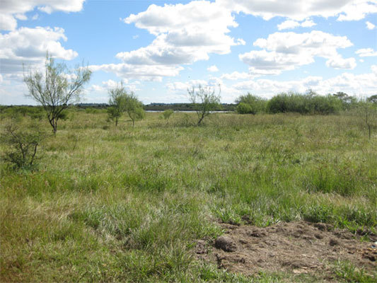 vista hacia el Oeste. West view