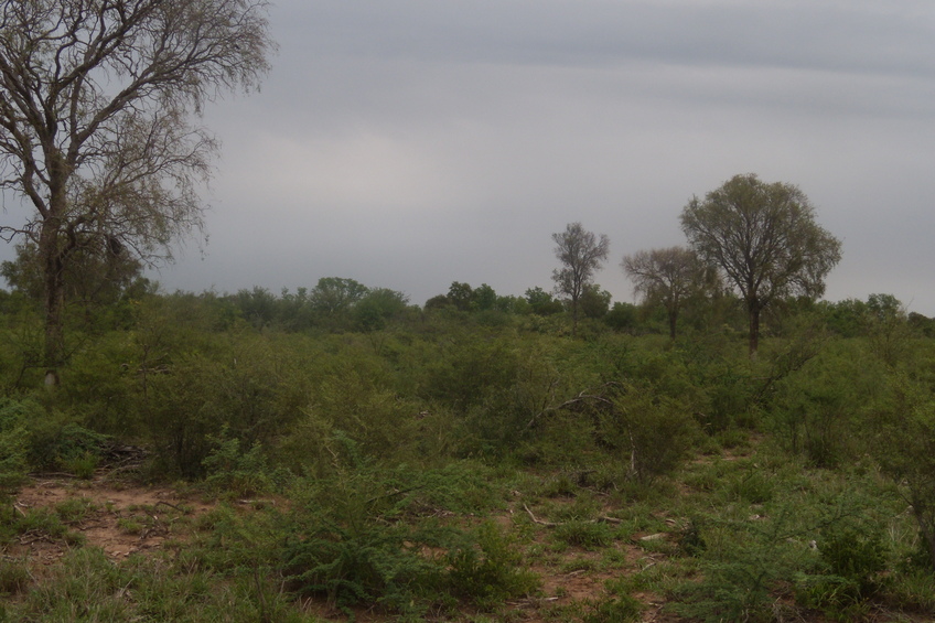 Vista hacia el sur - View to the south