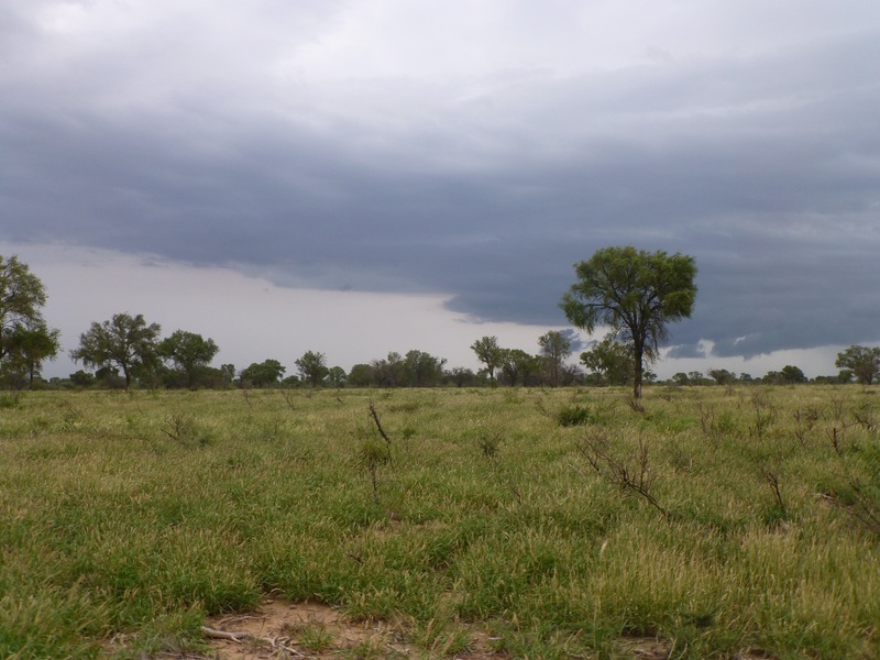 View confluence zone from 200 meters away