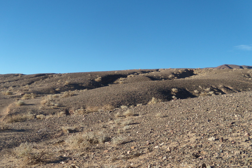 Vista hacia el Norte - View to the North