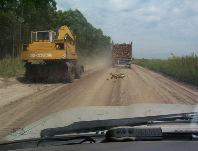 Equipos trabajando