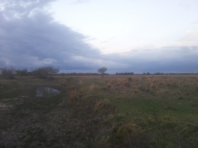 VISTA HACIA EL ESTE. View to east
