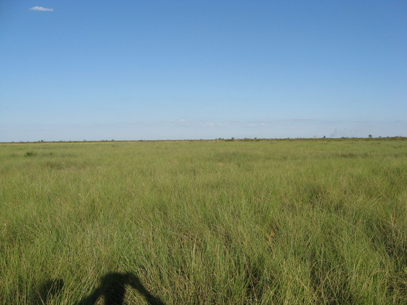 Vista Este. East view