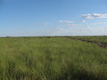 #3: Vista Sur. South view
