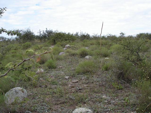 Close up view of the confluence point