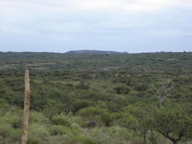 View to the north from the confluence