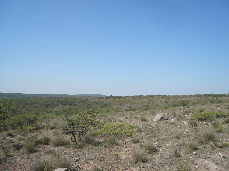 Vista hacia el Norte - View to the North