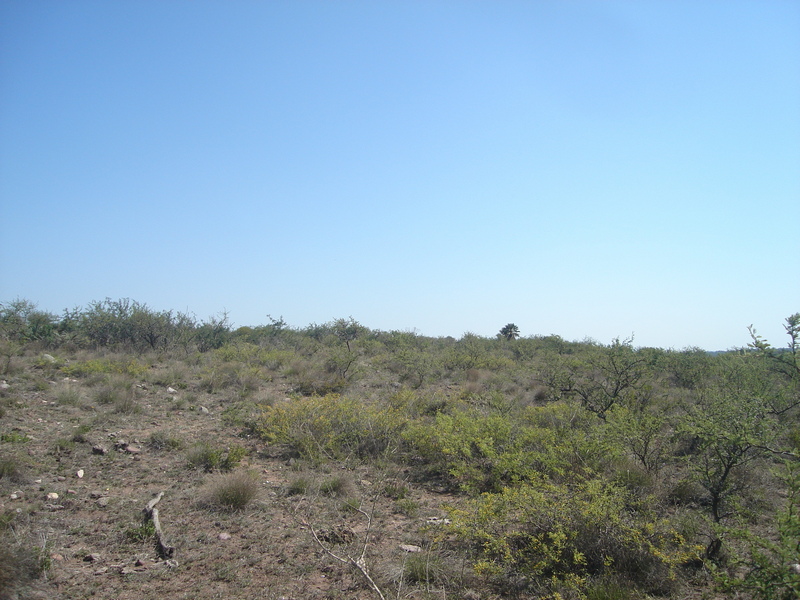 Vista hacia el Sur - View to the South