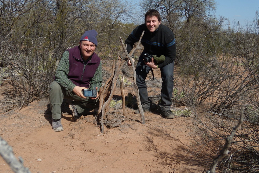 Cazadores con la presa - Hunters and their prey