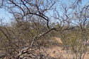 #3: Vista hacia el Sur - View to the South