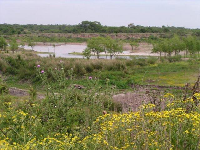view along the route nr. 22 on beautiful Entre Ríos
