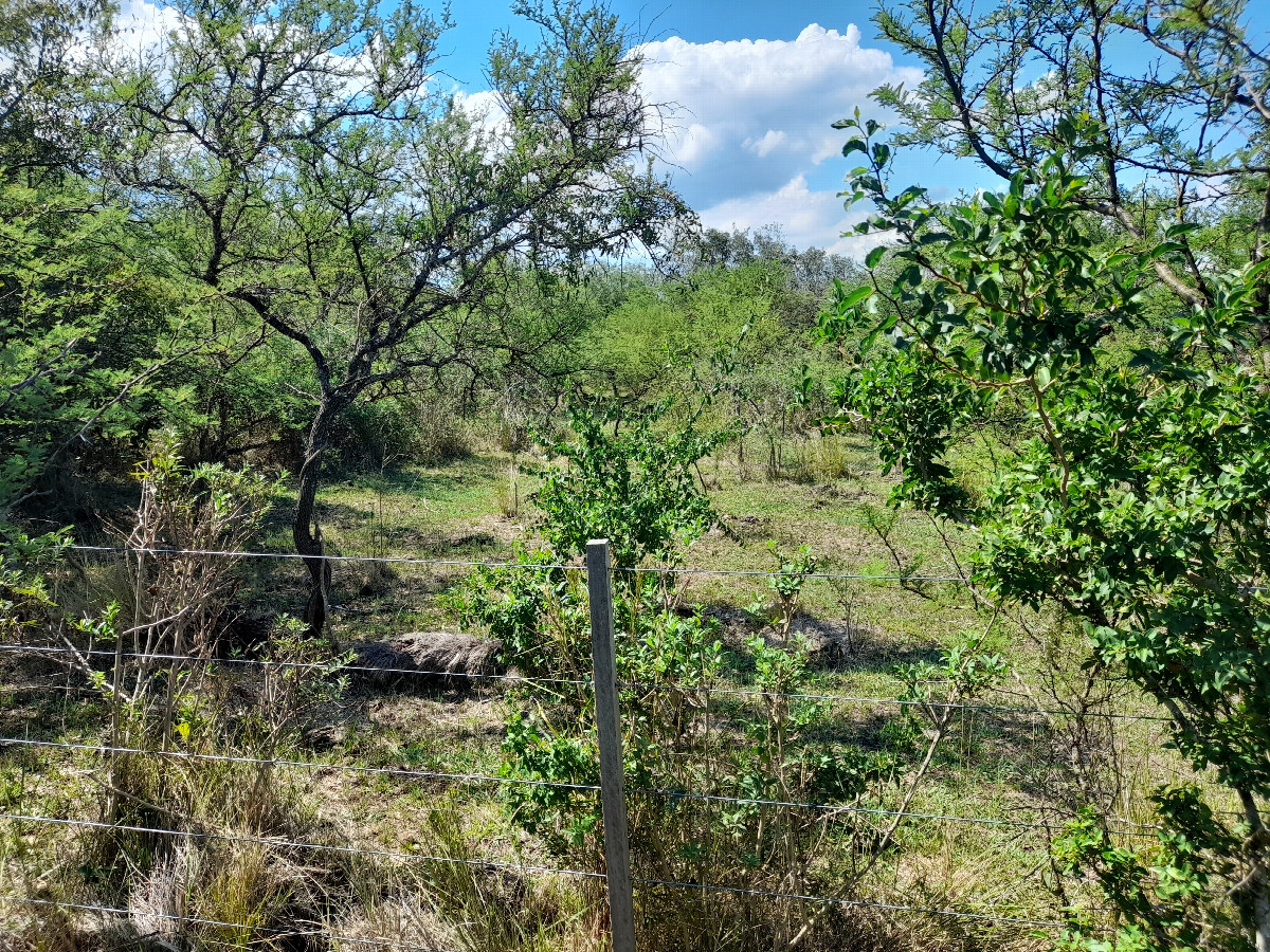 Vista Este - East View