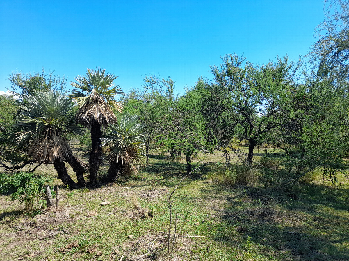 Vista Oeste - West View