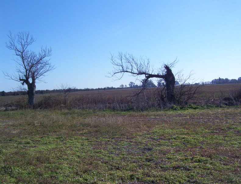 Vista Norte. North view