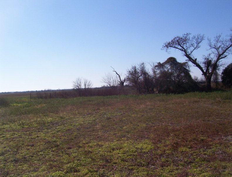 Vista Este. East view