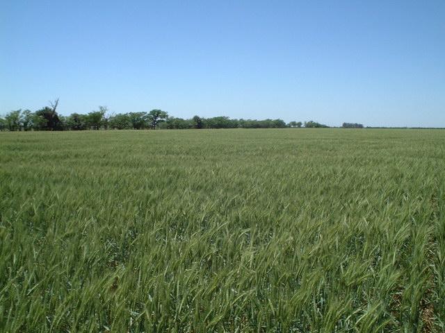 View to the East
