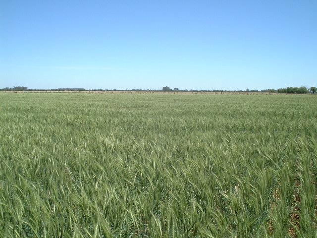 View to the West