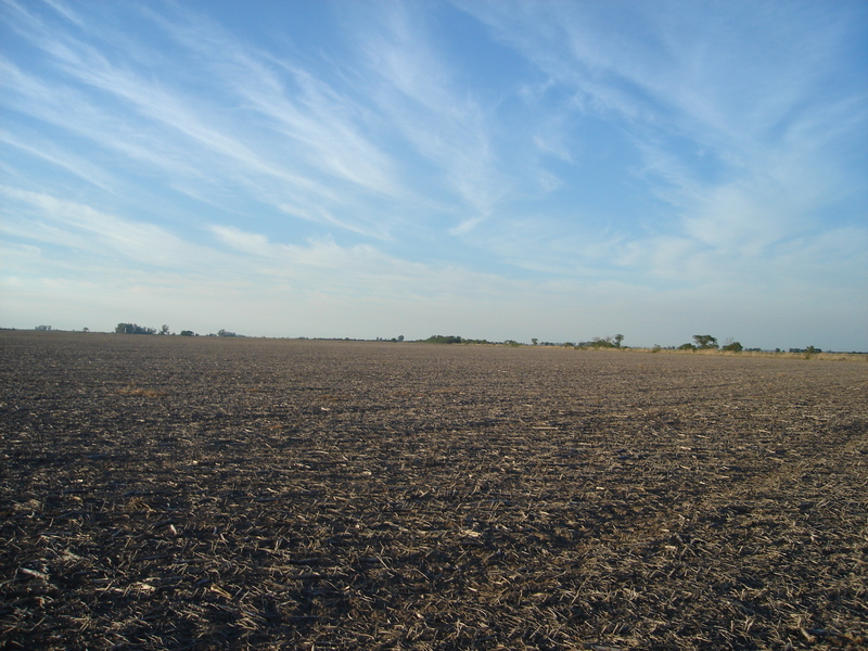 Vista hacia el Sur - View to the South