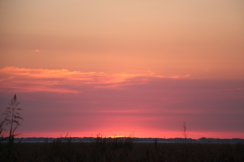 Amanecer. Dawn