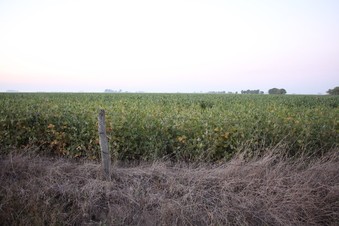 #1: Vista Sur. South view