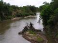 #6: the dirt road leads over an arroyo