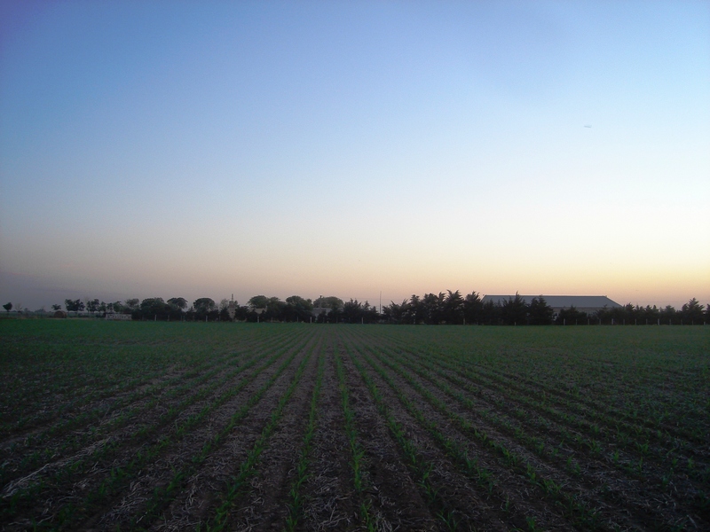 Vista hacia el Sur - View to the South