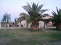 #8: Casco de la estancia cerca de la confluencia - Farmhouse near the confluence