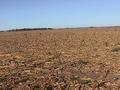 #4: South View