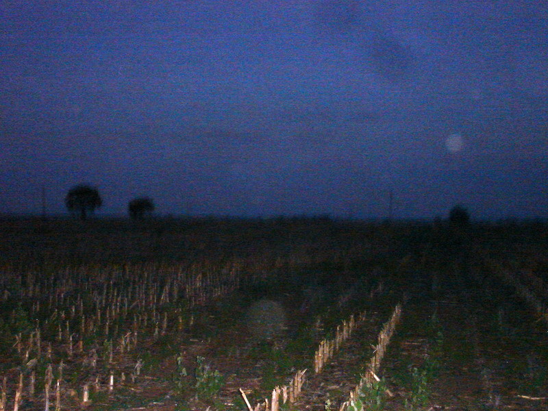 Vista hacia el Este - View to the East