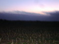#4: Vista hacia el Sur - View to the South