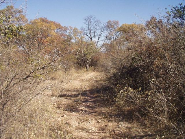 Vista del terreno