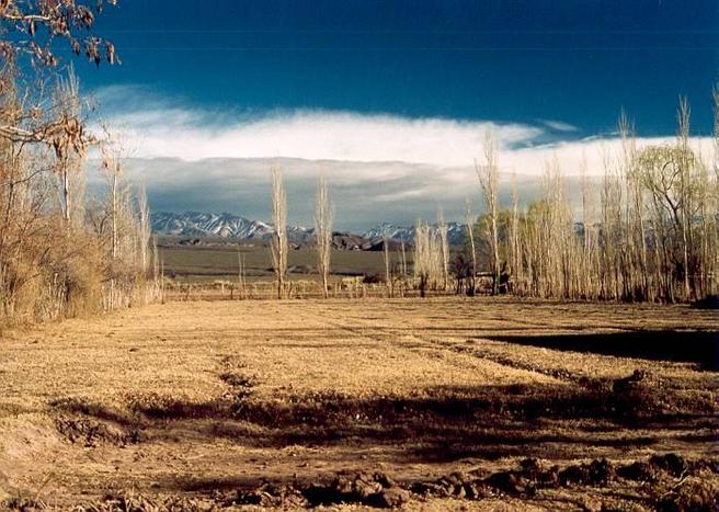 Otra vista de Calingasta con la Cordillera de los Andes al fondo.