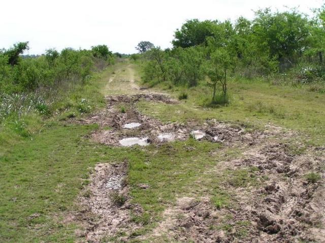 one of the dirt roads in the area