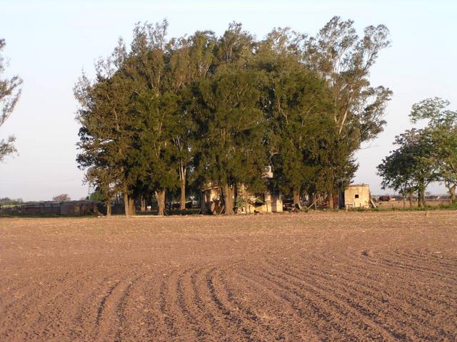 the farmhouse, about 250 metres from the confluence