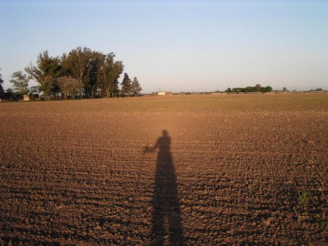 view to East with the farmhouse