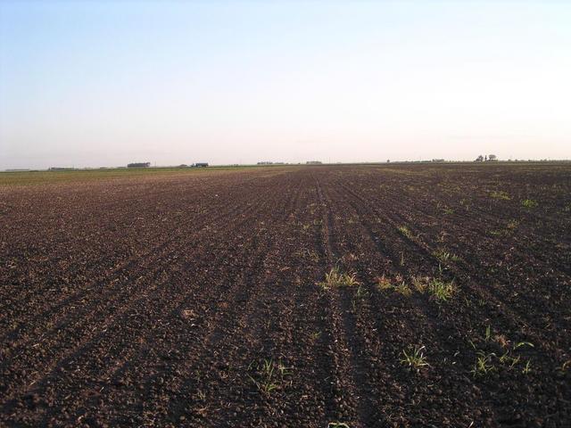View to the South