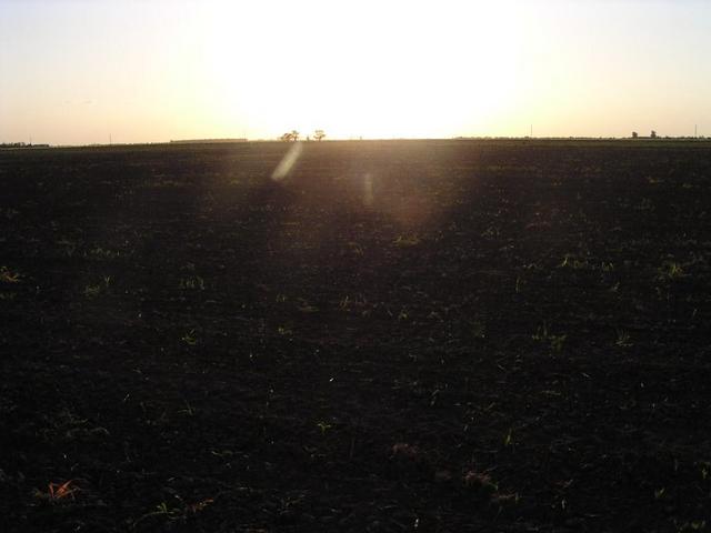 View to the West