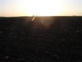 #7: View to the West