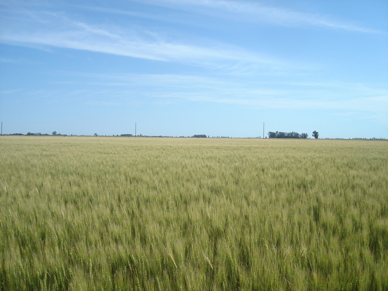 Vista hacia el Norte - View to the North